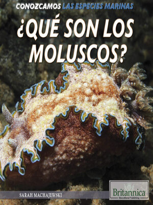 ¿Qué son los moluscos? (What Are Mollusks?) - ebook